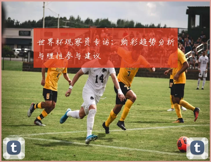 世界杯观察员专访：购彩趋势分析与理性参与建议