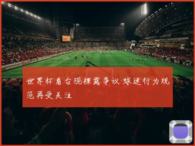 世界杯看台现裸露争议 球迷行为规范再受关注