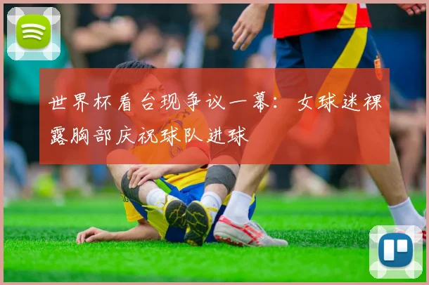 世界杯看台现争议一幕:女球迷裸露胸部庆祝球队进球
