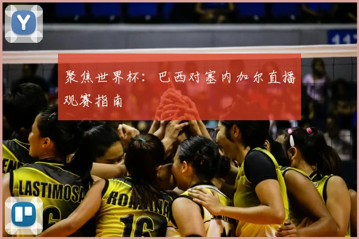 聚焦世界杯:巴西对塞内加尔直播观赛指南